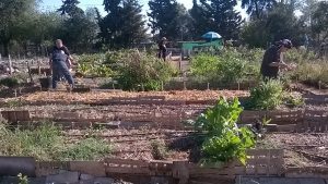Lee más sobre el artículo «Naturaleza y Autoestima: del desarrollo personal al desarrollo familiar»