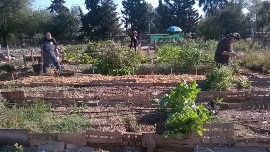 Lee más sobre el artículo «Naturaleza y Autoestima: del desarrollo personal al desarrollo familiar»