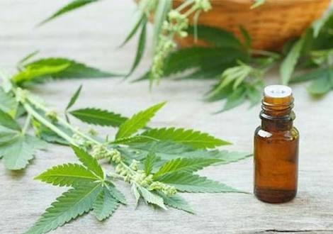 Lee más sobre el artículo ¿Es la regulación de las drogas la solución a todos los problemas?