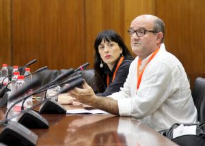 Lee más sobre el artículo ENLACE comparece en el Parlamento Andaluz para valorar los Presupuestos 2018