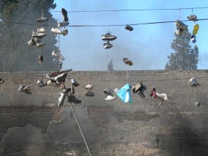 Lee más sobre el artículo Liberación organiza un concurso de fotografía para celebrar su 30 Aniversario