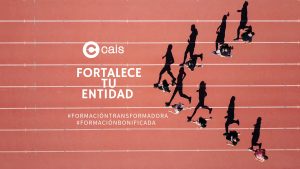 Lee más sobre el artículo Abierto el plazo de inscripción del Itinerario Formativo de Fortalecimiento