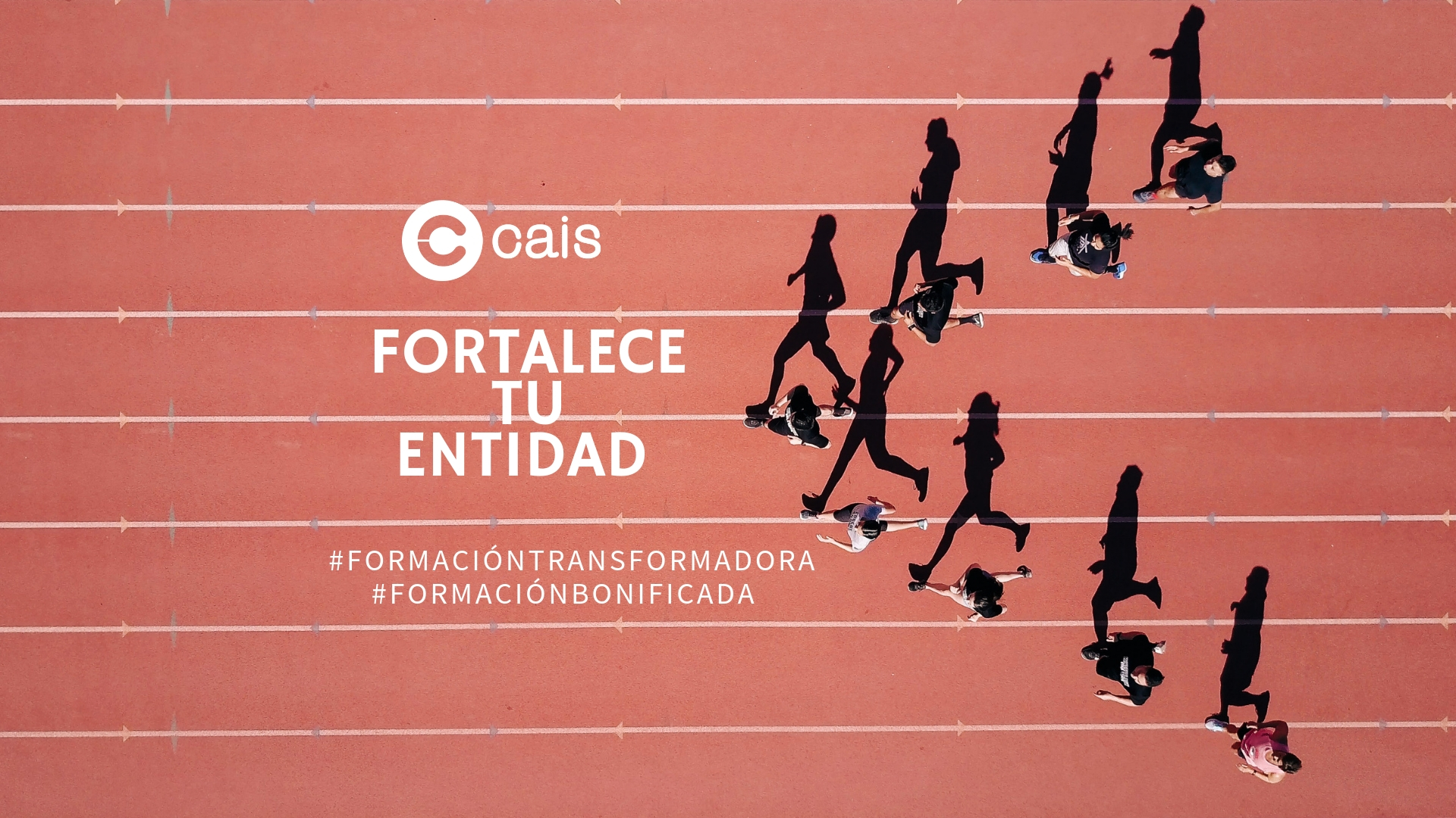 Lee más sobre el artículo Abierto el plazo de inscripción del Itinerario Formativo de Fortalecimiento