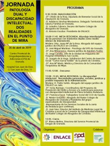Lee más sobre el artículo ENLACE organiza una Jornada sobre Patología Dual y Discapacidad Intelectual en Granada