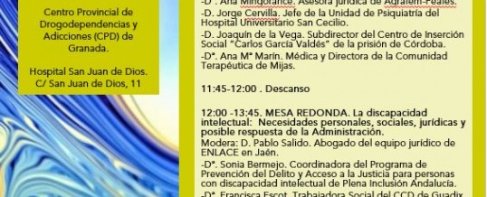 ENLACE organiza una Jornada sobre Patología Dual y Discapacidad Intelectual en Granada