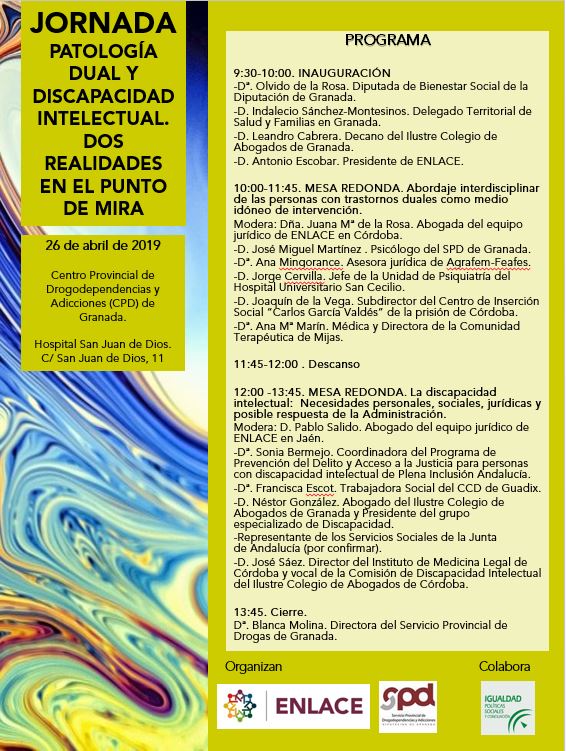 Lee más sobre el artículo ENLACE organiza una Jornada sobre Patología Dual y Discapacidad Intelectual en Granada