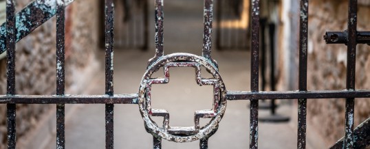 ENLACE reclama la transferencia de la sanidad penitenciaria al Servicio Andaluz de Salud