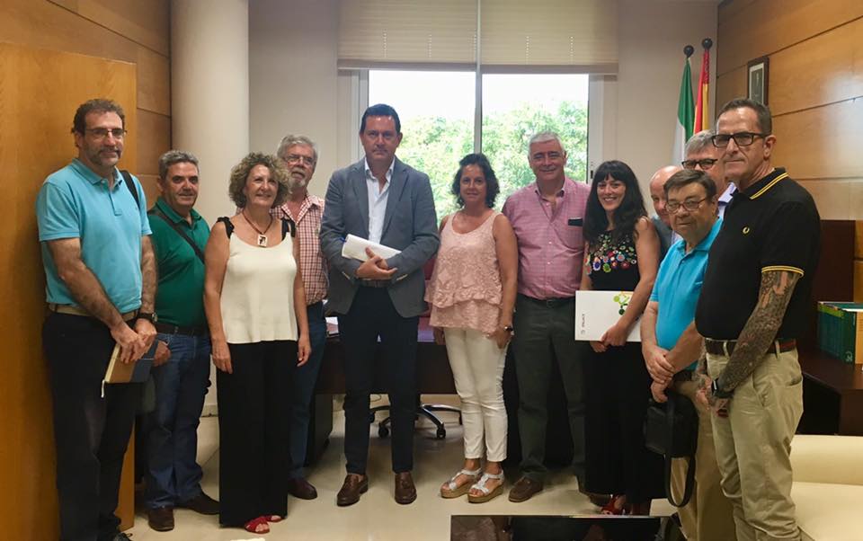 Lee más sobre el artículo Las Federaciones Andaluzas de Adicciones se reúnen con la Viceconsejera de Salud y Familias