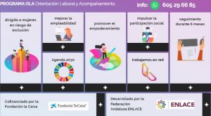 Lee más sobre el artículo ¡Nueva edición Programa OLA!