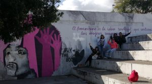 Lee más sobre el artículo Situación de las mujeres atendidas en las entidades federadas ante el confinamiento