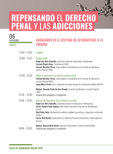 Lee más sobre el artículo Repensando el Derecho Penal y las Adicciones