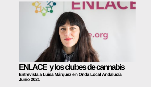 Lee más sobre el artículo ENLACE y los clubes de cannabis