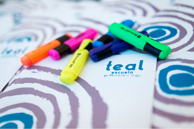 Lee más sobre el artículo Oferta de empleo Escuela de Organizaciones TEAL